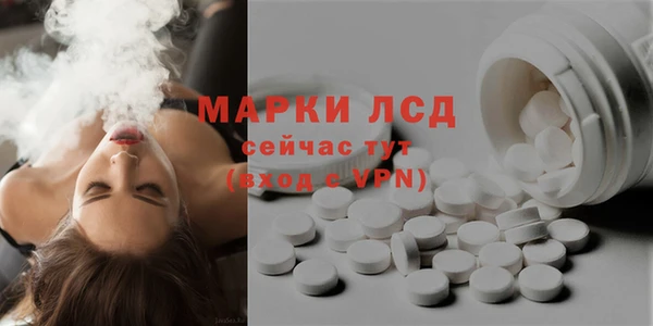 индика Армянск