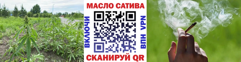 hydra рабочий сайт  Плавск  Дистиллят ТГК концентрат  купить наркоту 