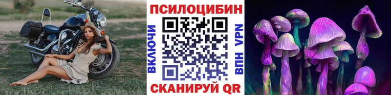 нарко площадка Telegram  Плавск  Псилоцибиновые грибы Magic Shrooms 